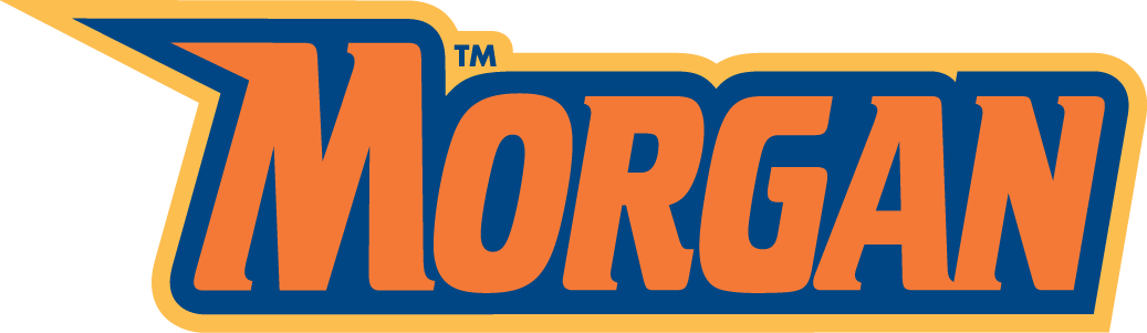 Morgan State Bears 2002-Pres Wordmark Logo v7 DIY iron on transfer (heat transfer)